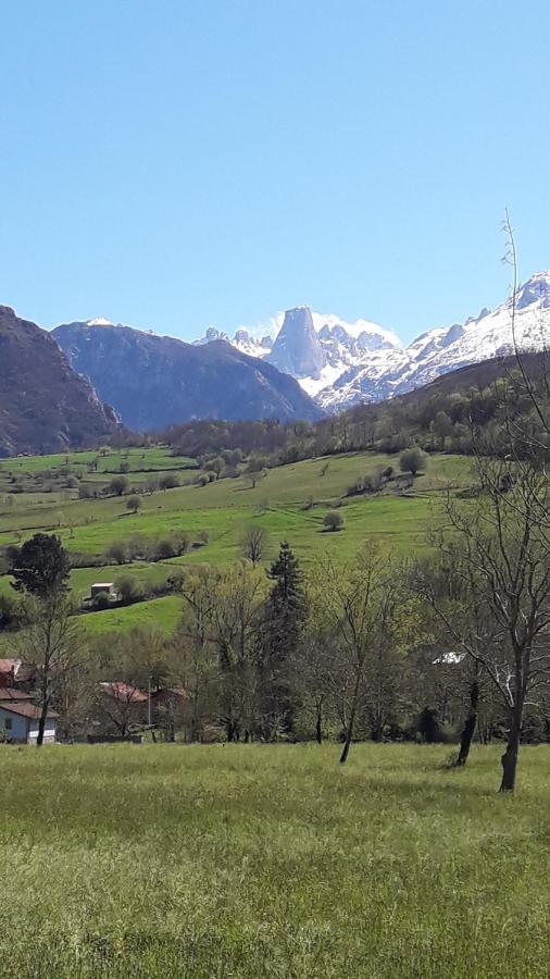 Willa La Casa De La Vega Arenas De Cabrales Zewnętrze zdjęcie